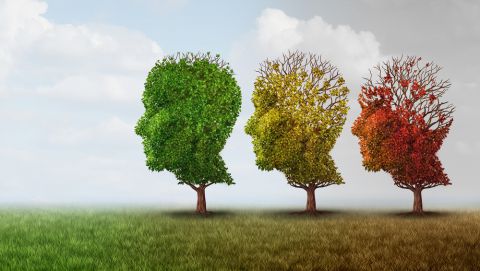 Fidenza, camminata in occasione della Giornata Mondiale dell’Alzheimer