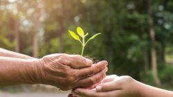 Domenica 10 novembre la Giornata del Ringraziamento