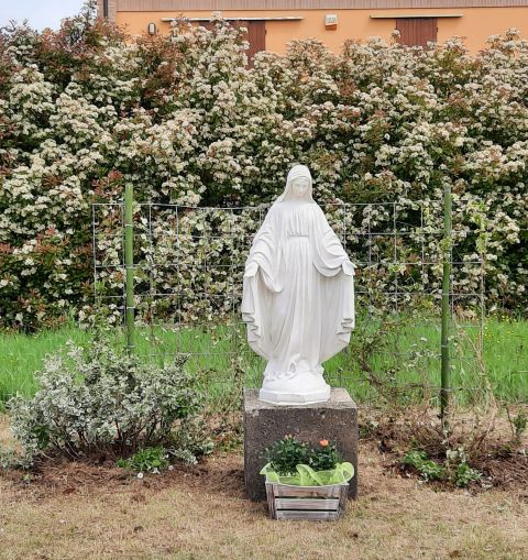 Busseto, benedetta la statua di Maria Vergine collocata in via Miller