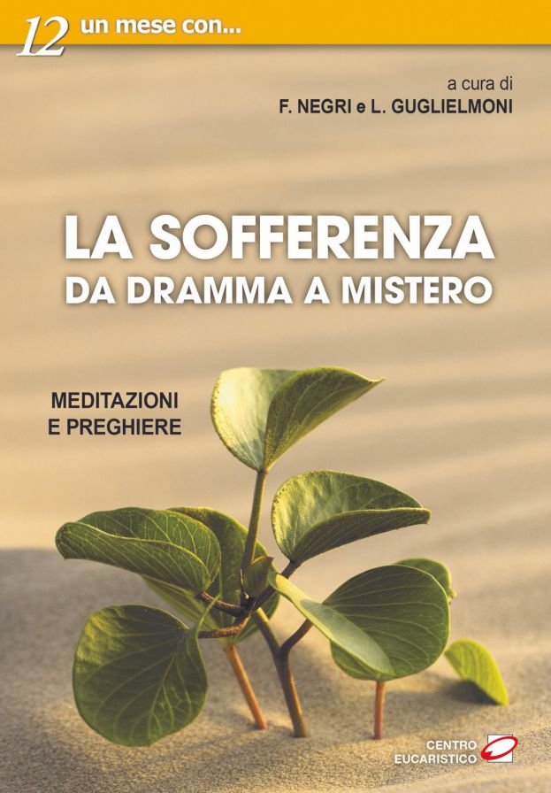 &quot;La sofferenza. Da dramma a mistero. Meditazioni e preghiere&quot;: è uscito il nuovo libro di don Luigi Guglielmoni e del professor Fausto Negri