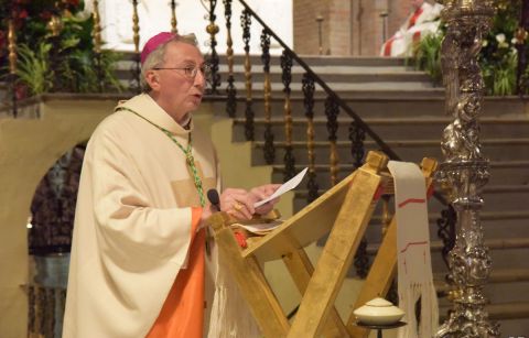 Solennità di San Donnino Martire: il messaggio del Vescovo Ovidio